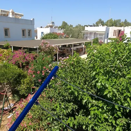 Dream Aparthotel Bitez